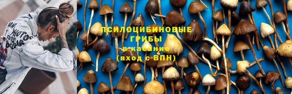 jwh Алзамай